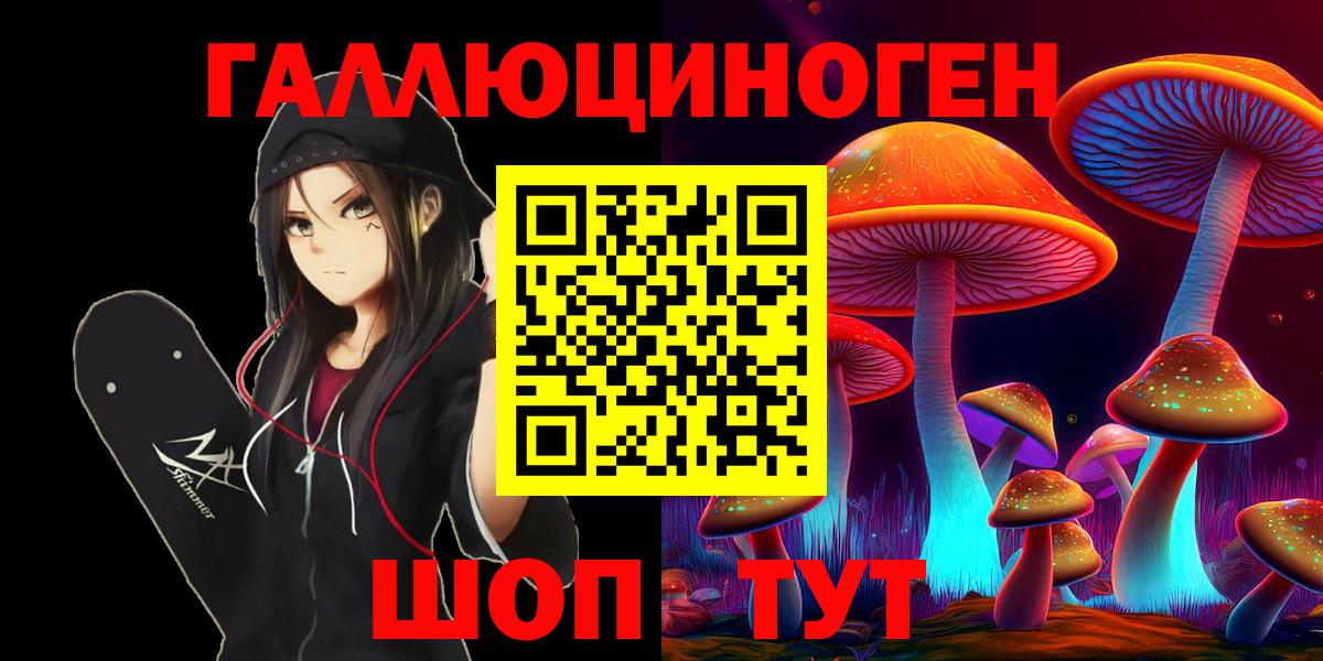 Псилоцибиновые грибы Psilocybe Калач-на-Дону